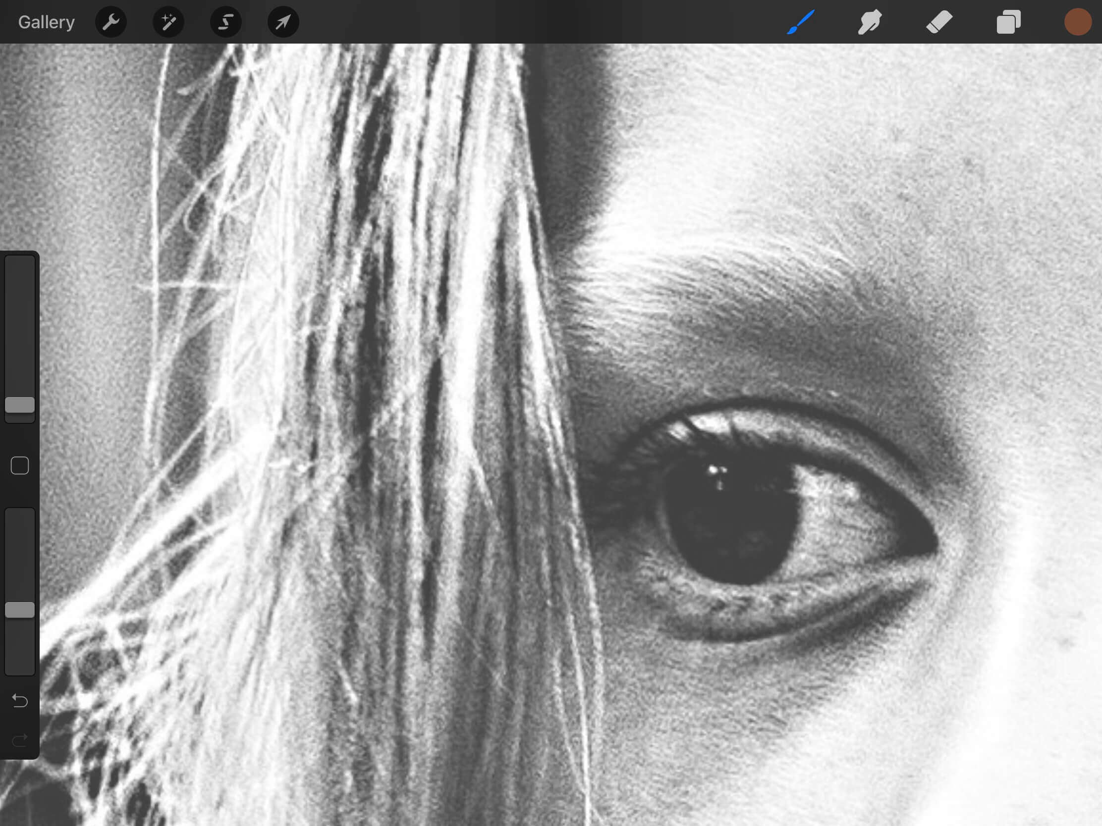 ida_photo